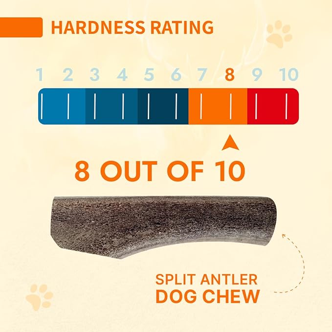 Tibetan Elk Antler for Large Dogs, Grade-A, Premium Antler Chews, Naturally shed Healthy & Longer Lasting Aggressive chewers, USA Product (Split)
