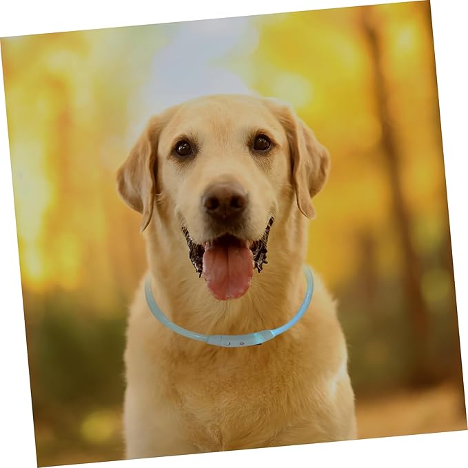 KESYOO LED Rechargeable Glow Collar for Dogs and Cats USB Charging Pet LED Light Up Collar Stylish Eye Catching Design for Pets Durable Tube for