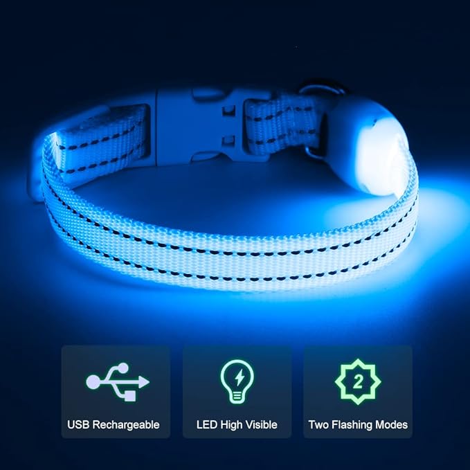 Light Up Dog Collar for Small Dogs, LED Dog Collar Rechargeable Safety Dog Lights, Fully Adjustable Glow in The Dark Dog Collar Light for Night Walking & Camping (X-Small, Blue)