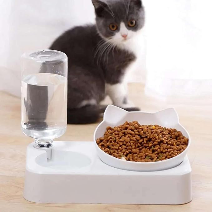 Dual-Purpose Pet Bowl Tilt to Protect Cervical Vertebrae Dog Food Bowl Automatic Drinking Feeder