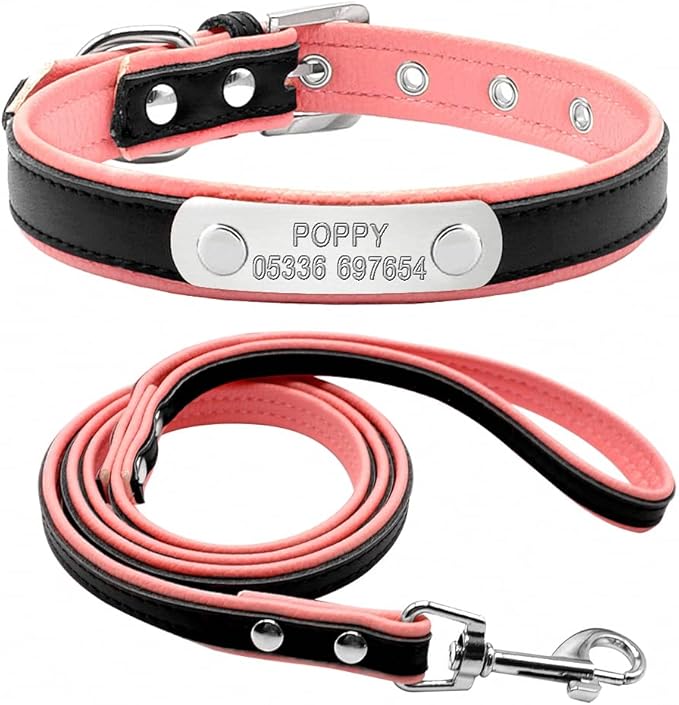 Personalized Dog Collar and Leash Padded Adjustable Customized Pet Collars and Leashes for Small Medium Dogs Cats Chihuahua Black XS
