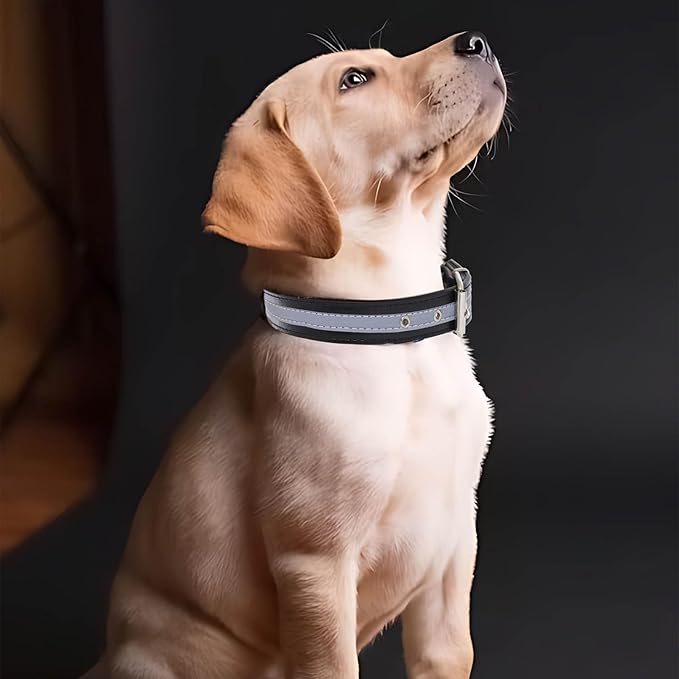 Campsis 2PCS Reflective Dog Collar Adjustable Metal Buckle Dog Collars Puppy Collar with Reflective Strip for Small Medium Large Dogs (L=11.8-14.9inch)