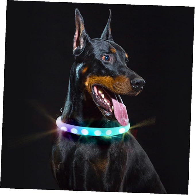 ibasenice LED Dog Collar USB Rechargeable Glowing Pet Collar Waterproof Night Luminous for Safe Evening Walks
