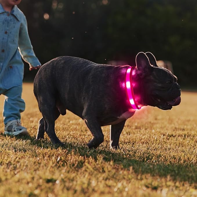 Illumifun LED Dog Collar, USB Rechargeable Light Up Dog Collar Glow in The Dark, Adjustable Safety Pet Collar for Night Walking (Small, Light Pink)