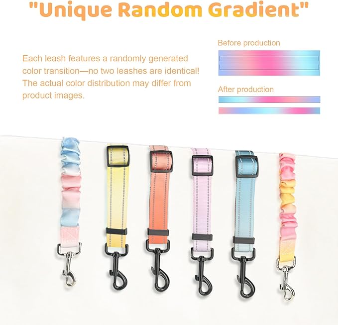 Double Dog Leash for Two Dogs - Gradient Color No Tangle Swivel Dog Coupler with Heavy Duty Clip, Size Adjustable Bungee Leash Attachment for Small, Medium, Large 2 Dogs, Style 2