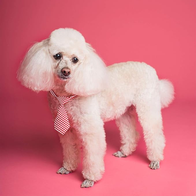 Segarty Small Neckties for Dogs, Dog Neck Bow Ties with Adjustable Collar, Pet Bowties for Small Dogs Cats Puppies Bowties Bulk Grooming Bows for Christmas Thanksgiving Wedding Festival Graduation