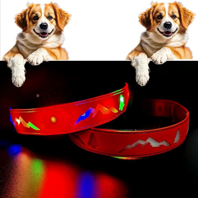 LED Dog Collar, 15 Light Modes, USB-C Rechargeable, Silicone Material, Adjustable Size, (RED Pro, S(7.87-11.8"))