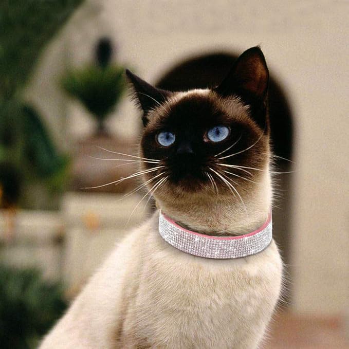 Cute Dog Collar with Bling Rhinestone, Fancy Crystal Diamond Glitter Pretty Jewel Soft Cat Collars for Small Medium Large Breed Dogs Girl Female Pet Puppy Kitten Terrier (L, Red5)