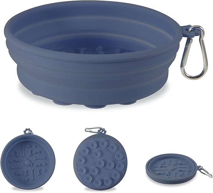 Collapsible Dog Bowl for Travel Outdoor Portable Silicone Pet Bowl with Carabiner Clip