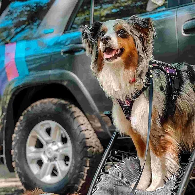 AUROTH Tactical Dog Harness for Small Medium Large Dogs No Pull Adjustable Pet Harness Reflective K9 Working Training Easy Control Pet Vest Military Service Dog Harnesses (S, Purple Camo)