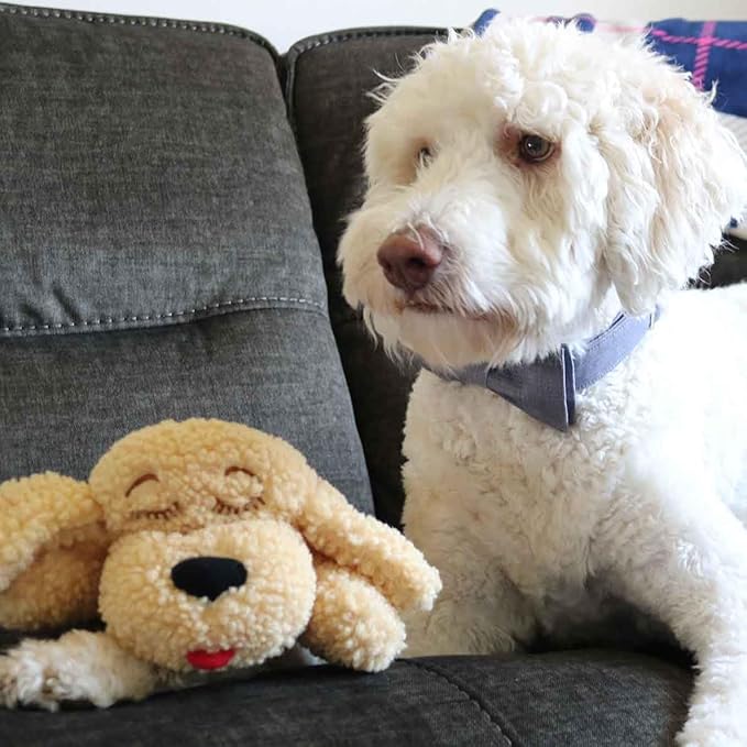 Snuggle Puppy SmartPetLove Special Edition Toys - Heartbeat Puppy for Dogs - Pet Anxiety Relief and Calming Aid - Comfort Dog Toys for Behavioral Training in Doodle