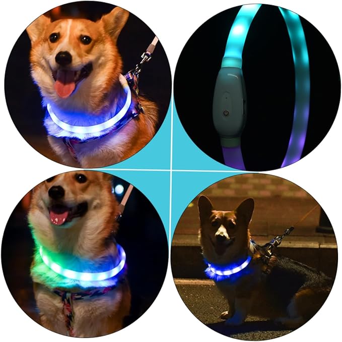 GALPADA 1set USB Rechargeable Pet Collar Led Dog Collar for Night Safety Comfortable Fit for Evening Walks and Visibility
