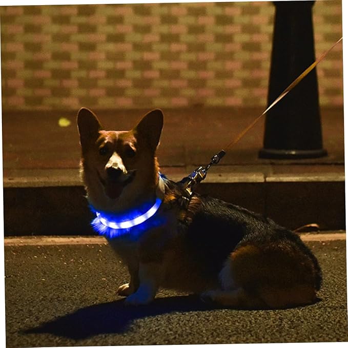 BESPORTBLE USB Rechargeable LED Glowing Pet Collar Luminous Dog Collar Safe Night Walking Durable Comfortable Material