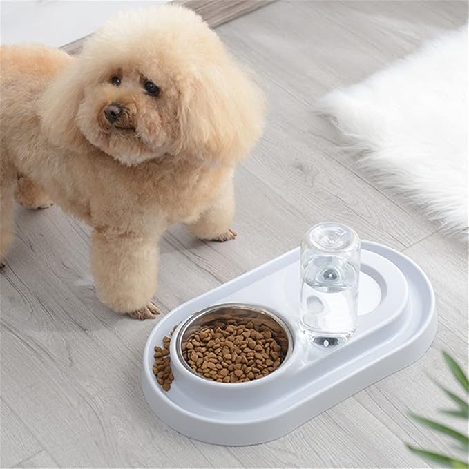 Automatic Pet Drinking Water Bottle Dog Cats Feeder Bowl Dog Food Feeder Double Dog Bowl Will Not MouthHair Get Wet (Color : Blue) (Pink)