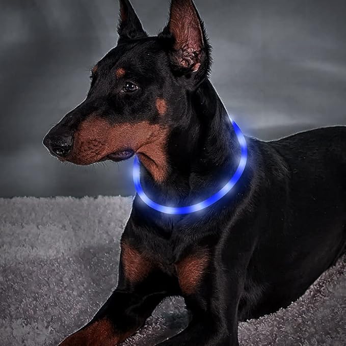 BSEEN Light Up Dog Collar, Cuttable LED Dog Collar Rechargeable Puppy Collar Glowing Safety Dog Walking Lights for Small Medium Large Dogs (Blue)