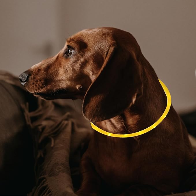 LED Rechargeable Silicone Dog Collar, Glow Luminous Pet Neck Belt, Wear-Resistant Adjustable Yellow Collar for Outdoor Safety, Size L