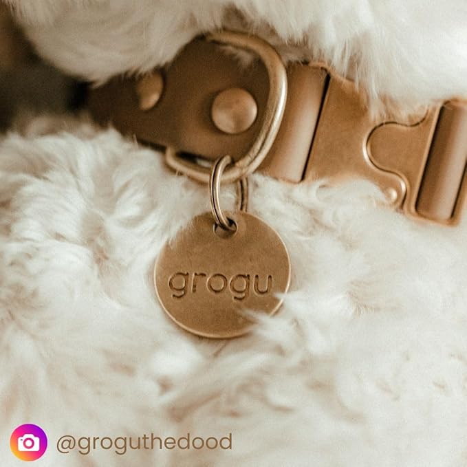 Solid Brass PET TAG - Modern, Minimal Pet IDs. Durable, Lifetime Tags with deep Cut Text. Includes Space for Two Phone Numbers. (Long)