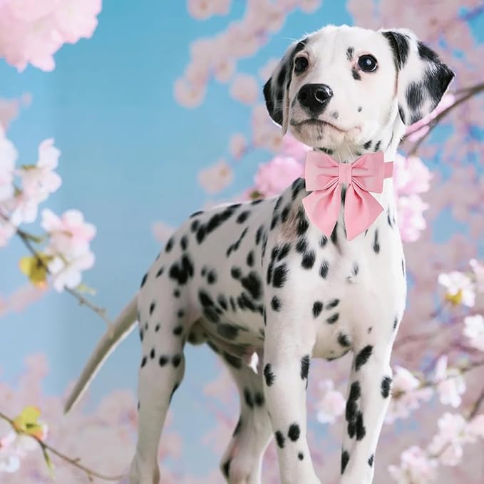 Maca Bates Cherry Pink Dog Collar with Cute Solid Sailor Bow Tie for Medium Girl Boy Dogs,Girly Adjustbale Durable Breakaway Soft Collars with Bowtie for Female Male Puppy,Pet with Metal Buckle