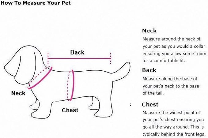 Lakke Nylon Webbing Dog Collar Heavy Duty Clip Buckle Pet Collar for Small Medium Dogs Chihuahua Dog Red Black Blue Purple 20