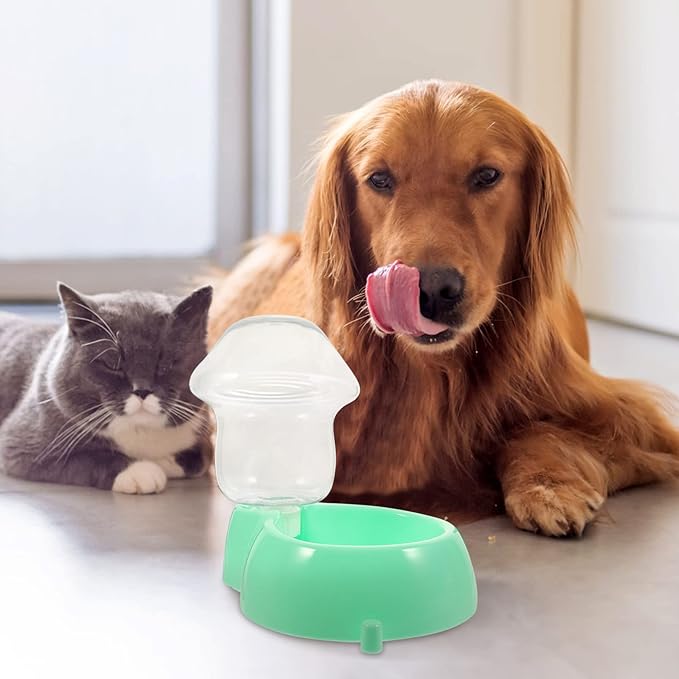 Kisangel 1set Automatic Pet Water Dispenser Plastic Drinking Bowl for Dogs Easy to Lightweight Suitable for Travel Pet Drinking Feeder