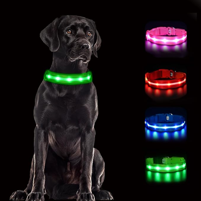CHUKCHI LED Dog Collar Rechargeable,Waterproof Flashing Collar,Light Up Glow Collar, Adjustable Soft Safety Light Up for Small Medium Large Dogs Walking Camping at Night (Green-S)