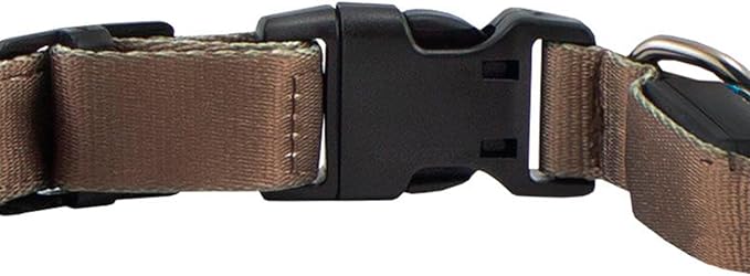 Avery Outdoors Sporting Dog Lighted Collar (Large, Marsh Brown)