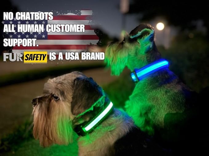 FUR-Safety Dog LED Collar - Animal Collar, Nylon, High Visibility, Adjustable Light Modes - S/M/L, Blue/Green/Orange/Pink/Red/Yellow - for Outdoor Night Activities (Yellow, Large)