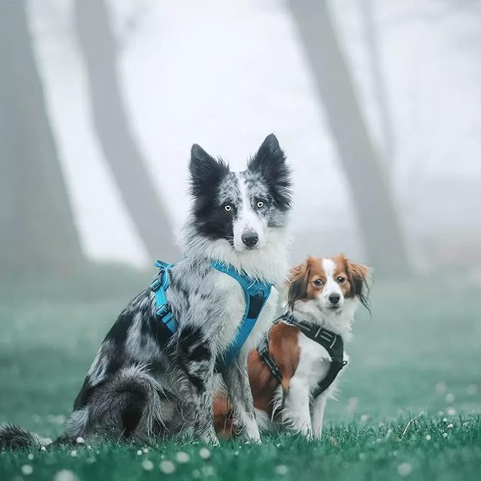 Truelove Adjustable No-Pull Dog Harness Reflective Pup Vest Harnesses Comfortable Control Brilliant Colors TLH5651(Blue,M)