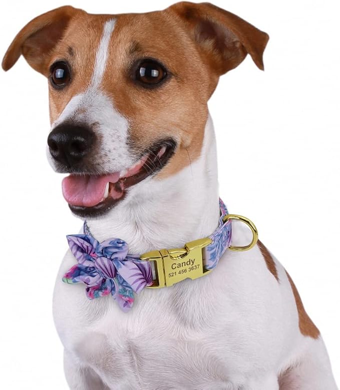 Custom Flower Dog Collar Nylon Floral Printed Pet Dog Collars Personalized Puppy Collar for Small Medium Large Dogs Cat Pitbull 151 Purple M