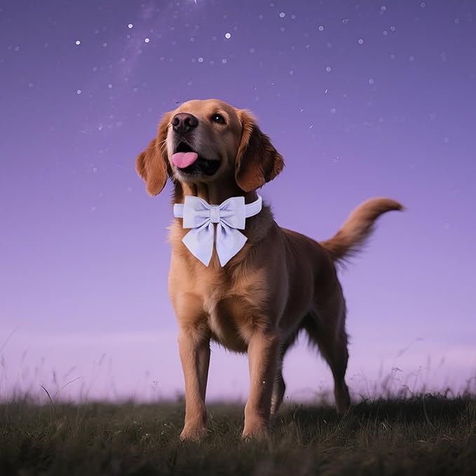 Maca Bates Violet Dog Collar with Cute Lavender Solid Sailor Bow Tie,Large Girl Boy Dogs,Girly Adjustbale Durable Breakaway Soft Collars with Bowtie for Female Male Puppy,Pet with Metal Buckle