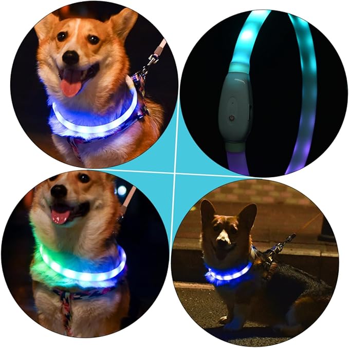 BESPORTBLE USB Rechargeable LED Pet Collar Night Glowing Luminous Dog Collar Soft Comfortable Material Safe Bright Flashing Light for Nighttime Walking