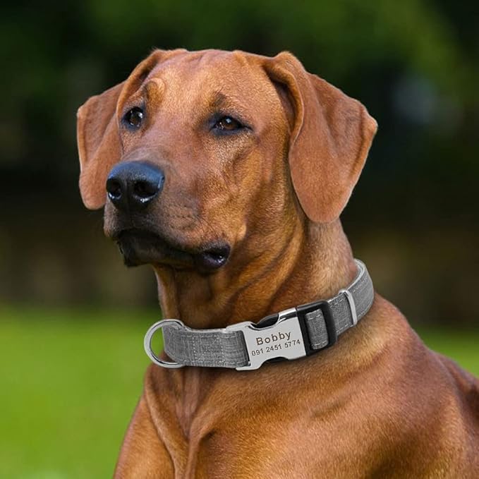 Fashion Nylon Personalized Dog Collar Engraved Name Dog Collars Custom Puppy Pet Collar ID Tag for Small Medium Large Big Dogs Grey M