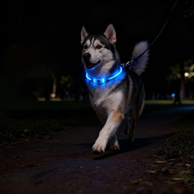 LED Light Up Dog Collar Rechargeable, Waterproof Lighted Dog Collars for Night, 4 RGB Lighting Modes, Cutable Soft Collar for Small Medium Large Dogs (White_2pcs)
