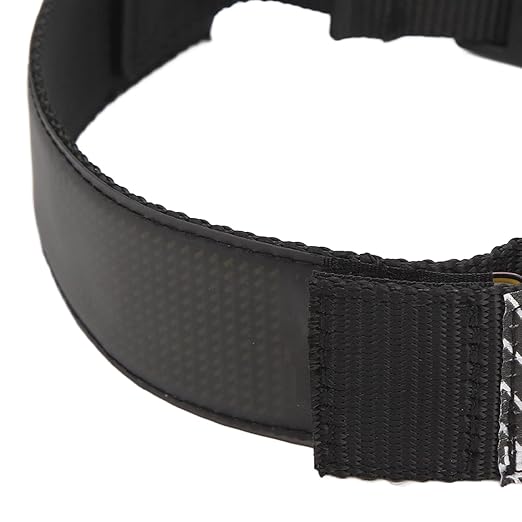 LED Collar, LED Dog Necklace USB Charging Mobile APP Control Wear Resistance 450mAh Battery High Visibility for Night Walking