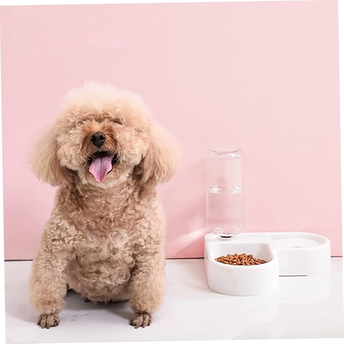 HANABASS Automatic Pet Water Feeder and Food Dispenser White Safe Engineering Design Smooth Unique Feature for Dogs and Cats