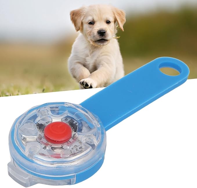 LED Dog Light Pendant USB Rechargeable Safe Collar Light for Pet Bag Bike (Blue)