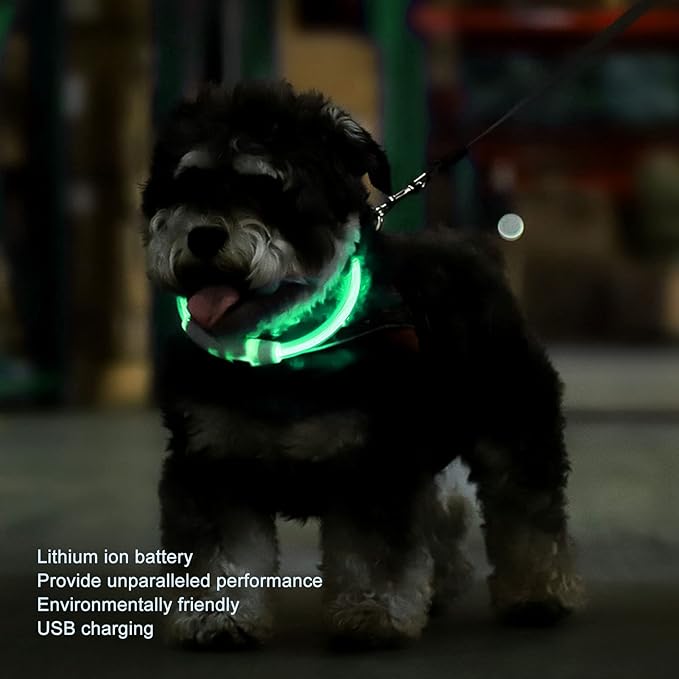 AYNEFY Lighted Collar, LED Dog Collar Lost Prevention PVC TPU Wear and Bite Weather Rechargeable for Small Medium Large Dogs (L)