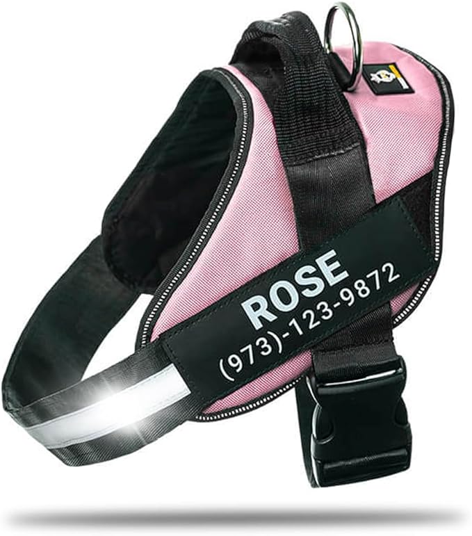 Personalized No-Pull Dog Harness with Name Patch, Adjustable, Reflective, Padded, Heavy Duty Pet Vest to Prevent Tugging, Pulling, or Choking, Training and Walking, Pink, S