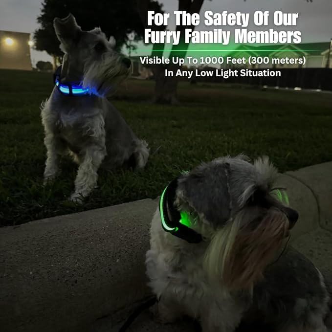 FUR-Safety Dog LED Collar - Animal Collar, Nylon, High Visibility, Adjustable Light Modes - S/M/L, Blue/Green/Orange/Pink/Red/Yellow - for Outdoor Night Activities (Yellow, Large)