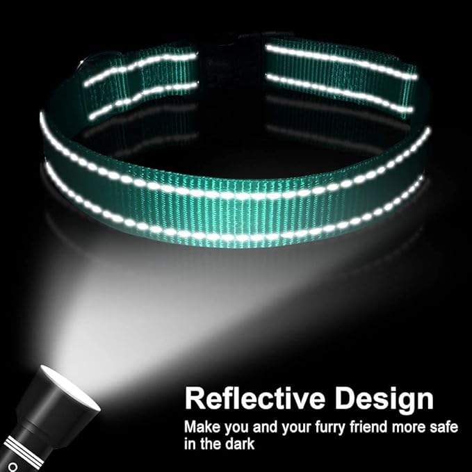 FunTags Reflective Dog Collar, Sturdy Nylon Collars for Small Girl and Boy Dogs, Adjustable Dog Collar with Quick Release Buckle, Turquoise