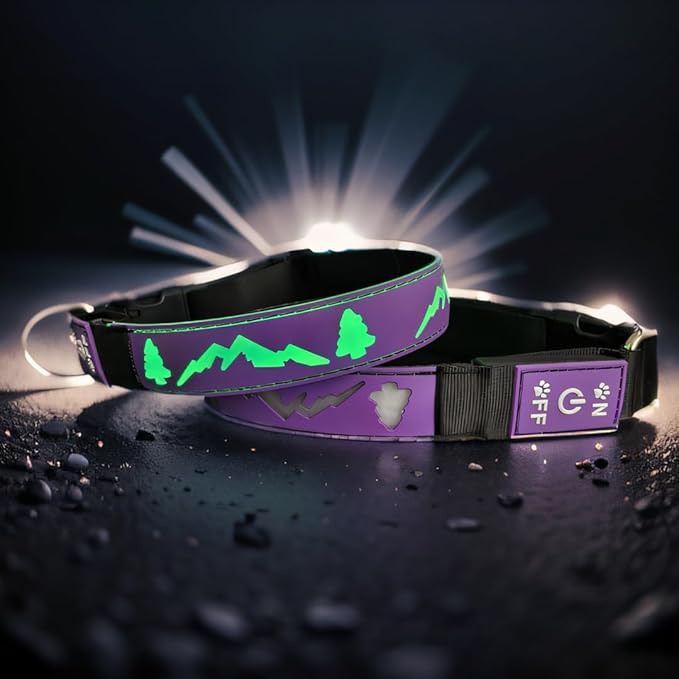 Customlized Name Flashing USB-C led Light up Dog Collar with airtag Holder, Subversive 3D Design Comfortable and Soft Material,Multicolored Lighting (Purple, XL(19.7-23.6"))