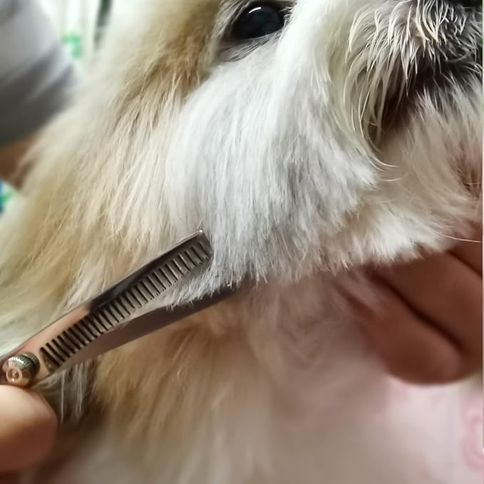 Dog Grooming Scissors with Safety Round Tips Stainless Steel Professional Dog Grooming Kit - Thinning, Curved Scissors and Comb for Cat Pet (Pink 4 in 1)