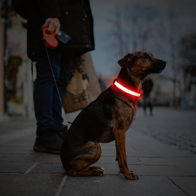 Illumifun LED Dog Collar, USB Rechargeable Light Up Dog Collars, Flashing Dog Collar Light for Your Dogs Walking at Night (Red, X-Large)