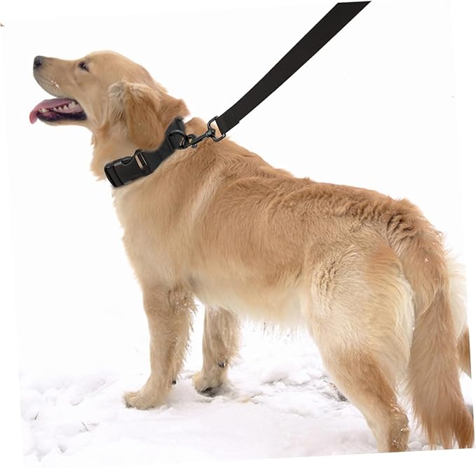 Generic 2Pcs Adjustable Dog Protective Collar with Buckle Comfortable Pet Positioning Collar for Dogs Anti-Lost Safety Gear for Outdoor Use
