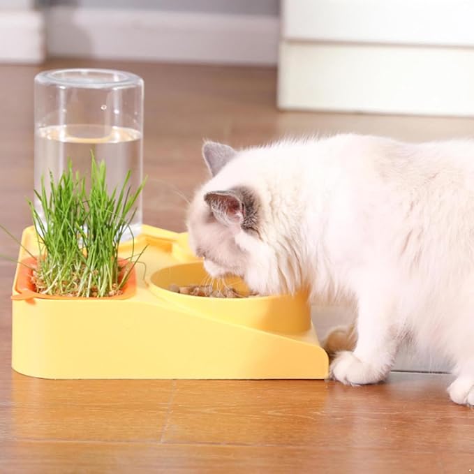 YiZYiF Automatic Pet Water Dispenser and Food Bowl Set Double Slow Feeder Bowls for Dogs Puppies and Cats Yellow One Size