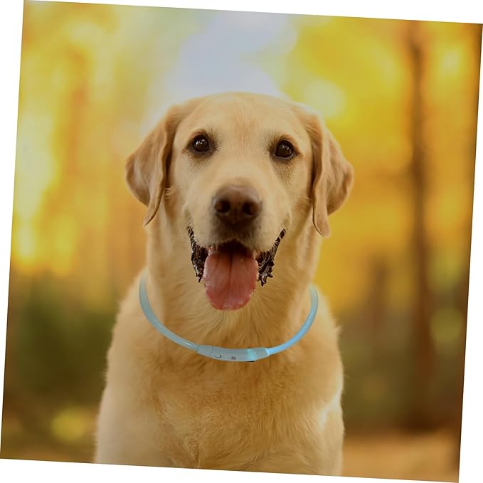Led Rechargeable Dog Collar USB Charging Glowing Pet Accessory for Dogs and Puppies for and Festive Occasions