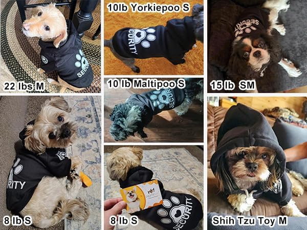 BEAUTYZOO Security Dog Hoodie Sweaters for Small Medium Large Dogs, Brushed Fleece Dog Clothes with Hat,Soft Winter Fall Coat All Weather Pullover, Classic Halloween Costume with Leash Hole, Black M