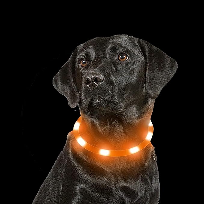 Dog Collars Light Up USB Rechargeable for Night Walking,Durable LED Dog Collar with 3 Modes Switch,Adjustable Lighted Dog Collar for Small Medium Large Dog