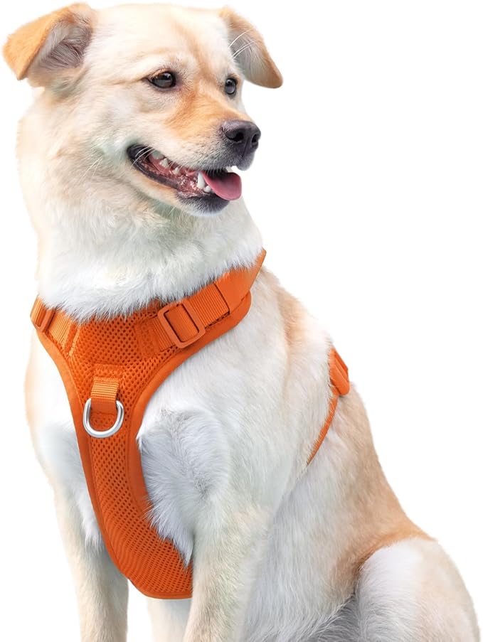 No Pull Dog Harness for Small Medium Large Dogs - Adjustable 2 Layer Mesh Dog Vest with Dual Clip, Escape Proof, Quick Release, Lightweight Breathable Mesh for Walking Hiking (Orange,XL)
