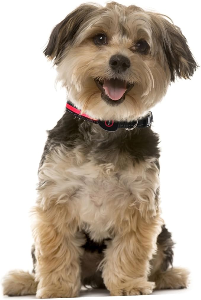 Yardwe Rechargeable USB Glow Collar for Pets Heart Shaped LED Night Safety Collar Flashing Light Fits Small to Medium Breeds for Evening Walks